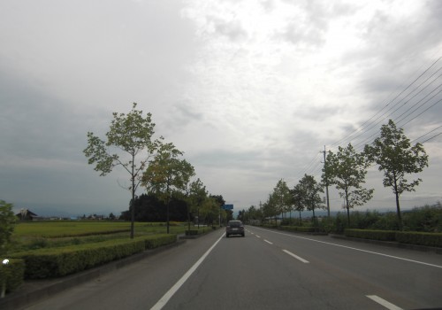 CIMG1590
